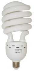 55W Cfl Bulb